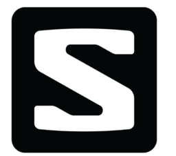 Salomon Logo
